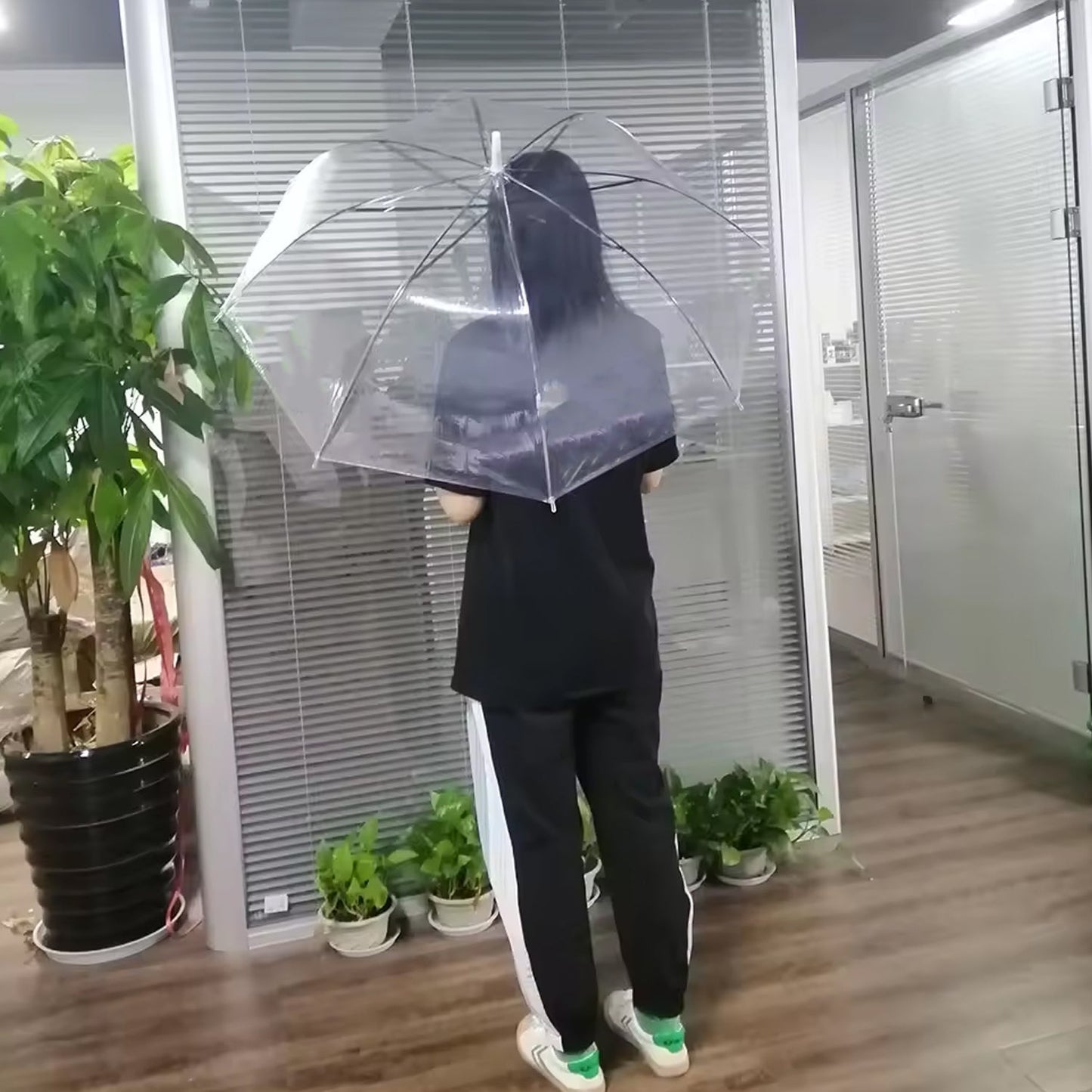 White Transparent Long Umbrella (1 Pc)
