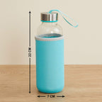 1199 Glass Water Bottle (500 ml) With Cover 